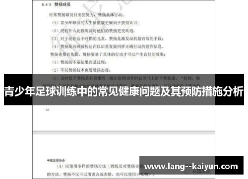 青少年足球训练中的常见健康问题及其预防措施分析